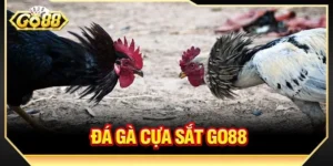 Đá Gà Cựa Sắt GO88: Siêu Phẩm Chọi Gà Hấp Dẫn, Kịch Tính 
