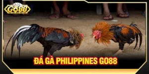 Đá Gà Philippines GO88: Huyền Thoại Làng Chiến Kê 2026